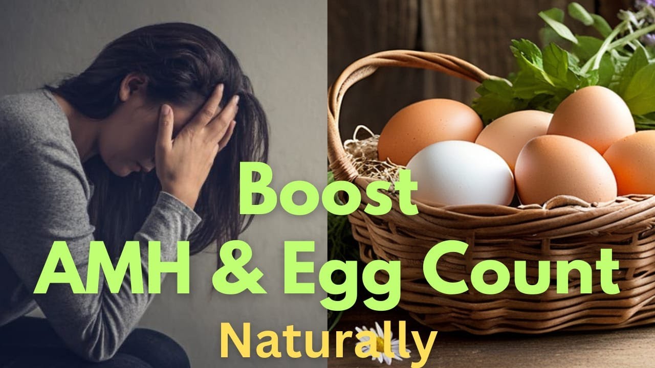How to Boost Egg Count and AMH Levels Naturally...REVEALED!!! ( MUST WATCH )